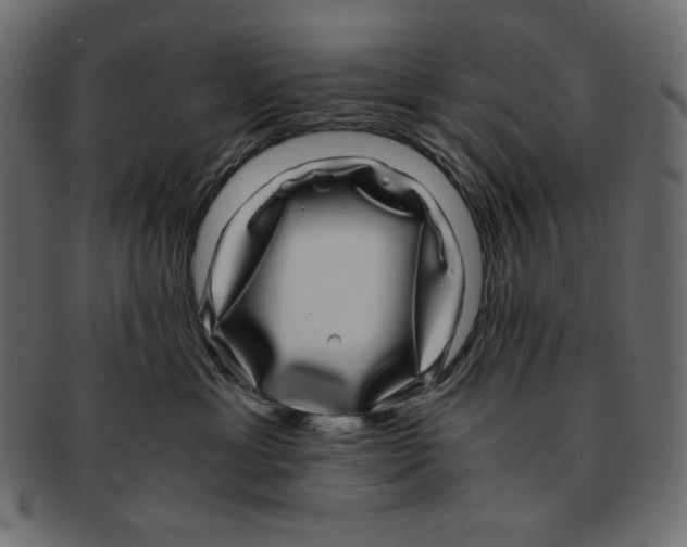 X0000091920429200710031043