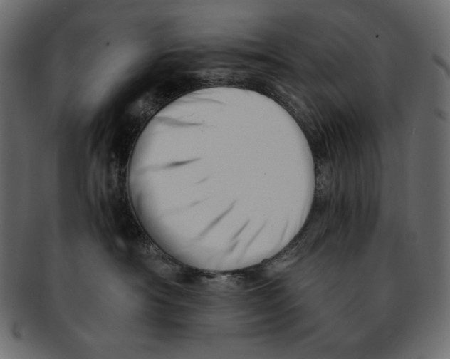 X0000091920430200710031043