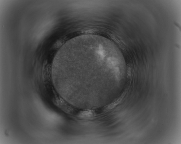 X0000091920431200710031043