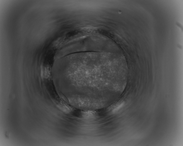 X0000091920432200710031043