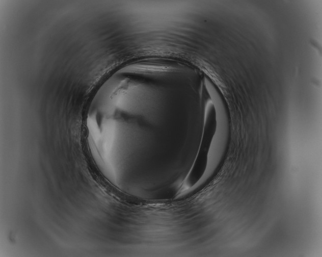 X0000091920434200710031042