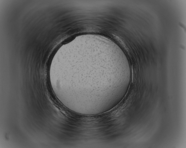 X0000091920435200710031042