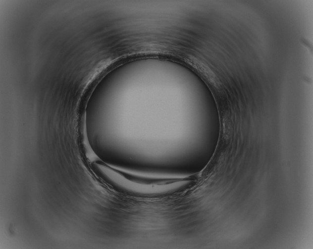 X0000091920436200710031042