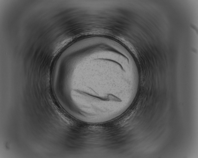 X0000091920437200710031042