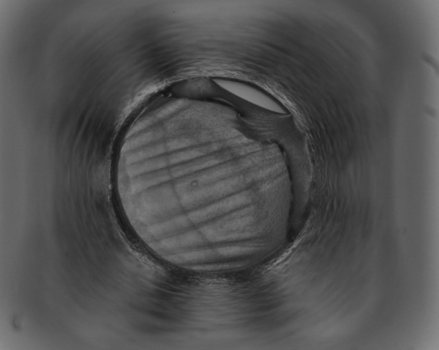 X0000091920438200710031042