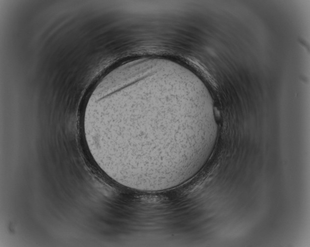X0000091920439200710031042