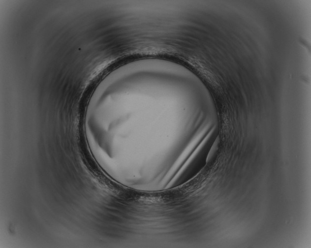 X0000091920440200710031042