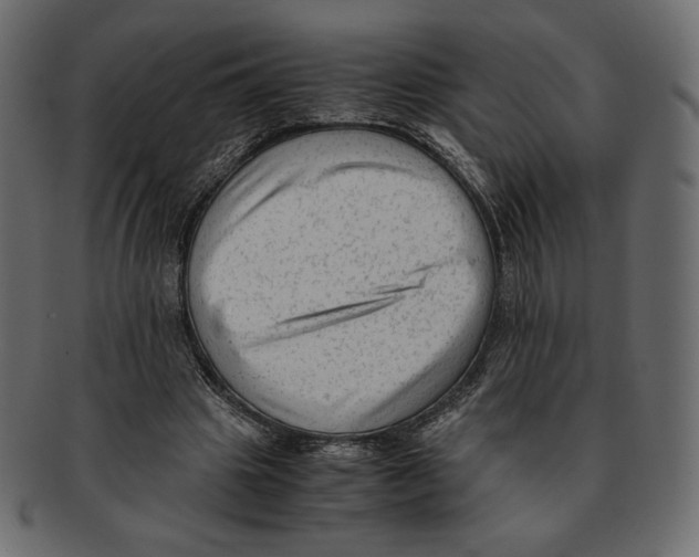 X0000091920441200710031042