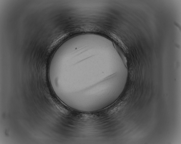 X0000091920442200710031042