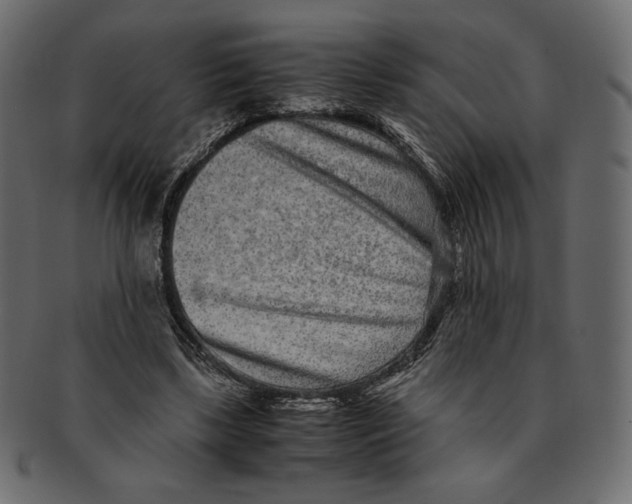 X0000091920443200710031042