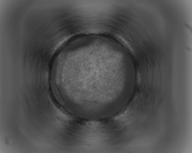 X0000091920444200710031042