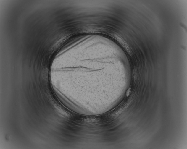 X0000091920445200710031042