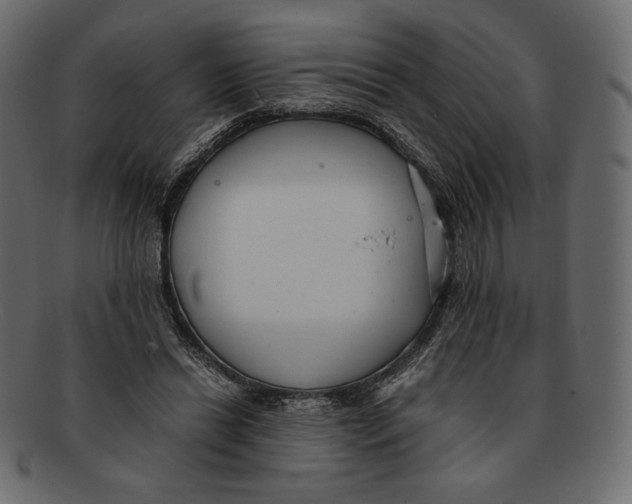 X0000091920446200710031042