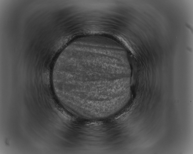 X0000091920447200710031042