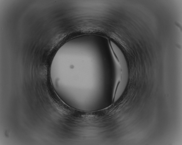 X0000091920448200710031042