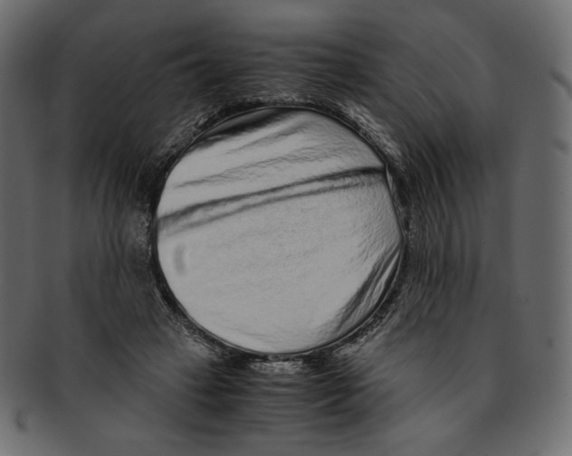 X0000091920449200710031042
