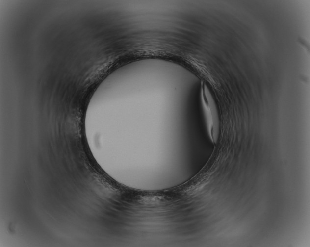 X0000091920450200710031042