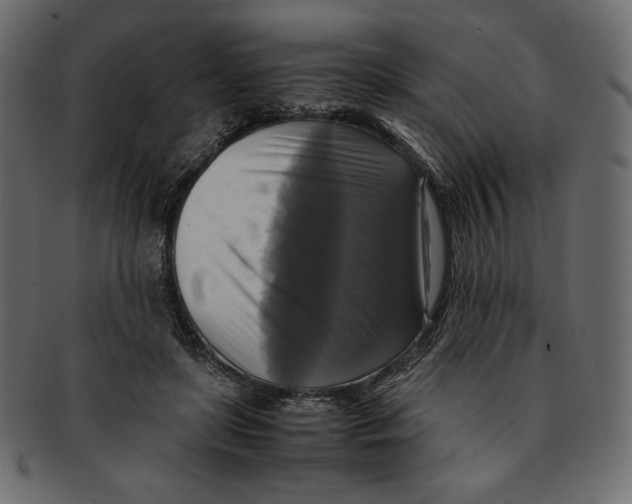 X0000091920451200710031042