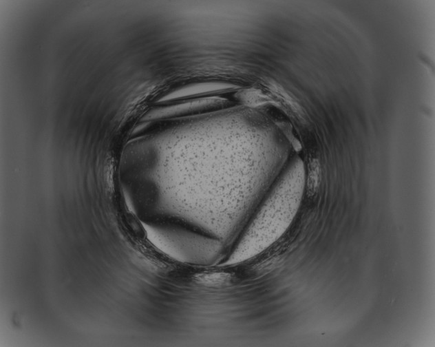 X0000091920452200710031042