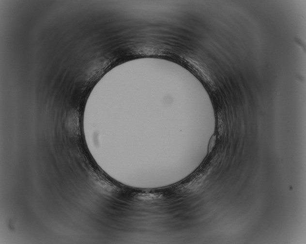X0000091920453200710031043