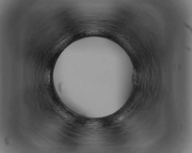 X0000091920454200710031043