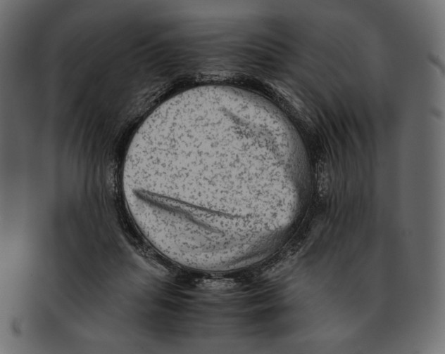 X0000091920455200710031043