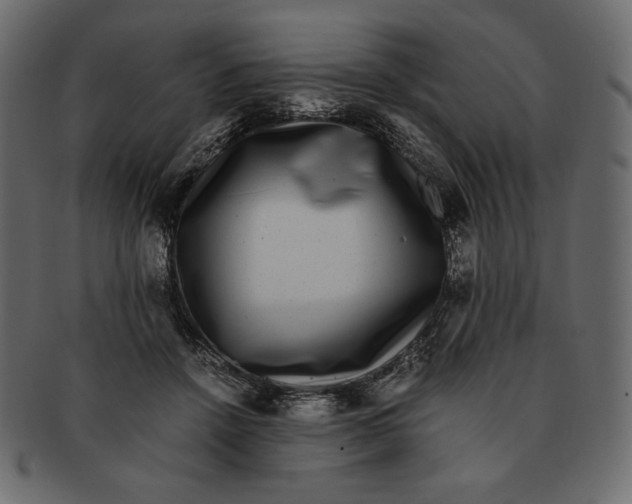 X0000091920456200710031043
