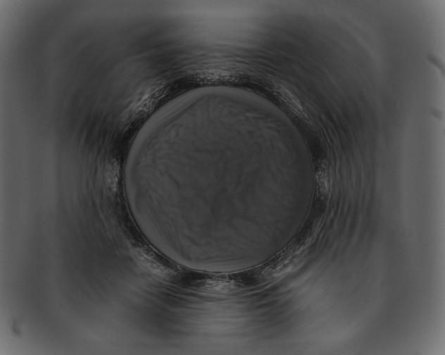 X0000091920458200710031043