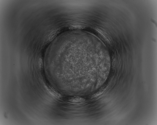 X0000091920459200710031043