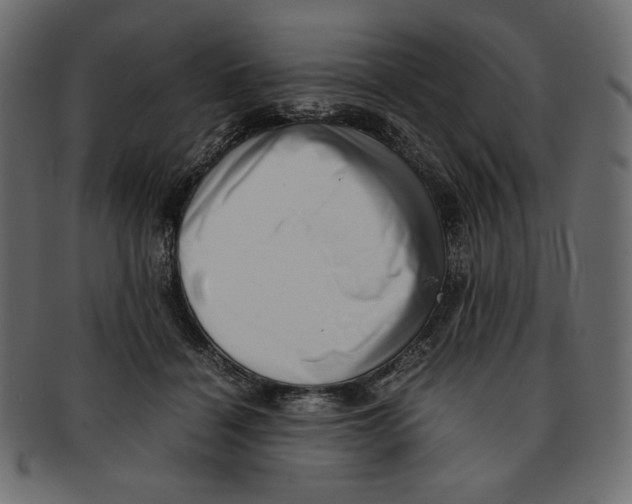 X0000091920460200710031043