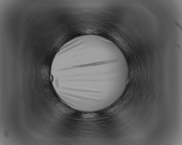 X0000091920461200710031043