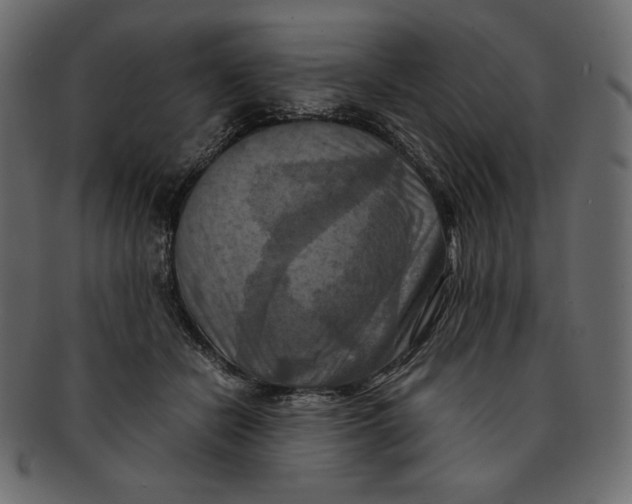 X0000091920462200710031043
