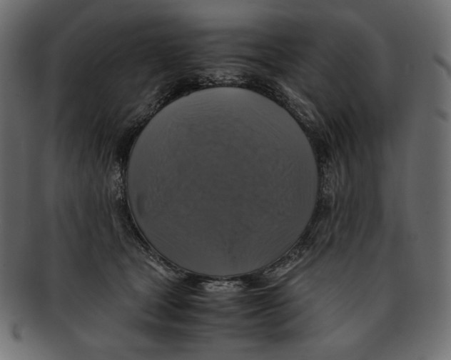X0000091920465200710031043