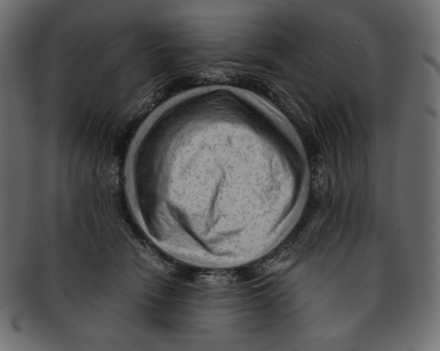 X0000091920466200710031043