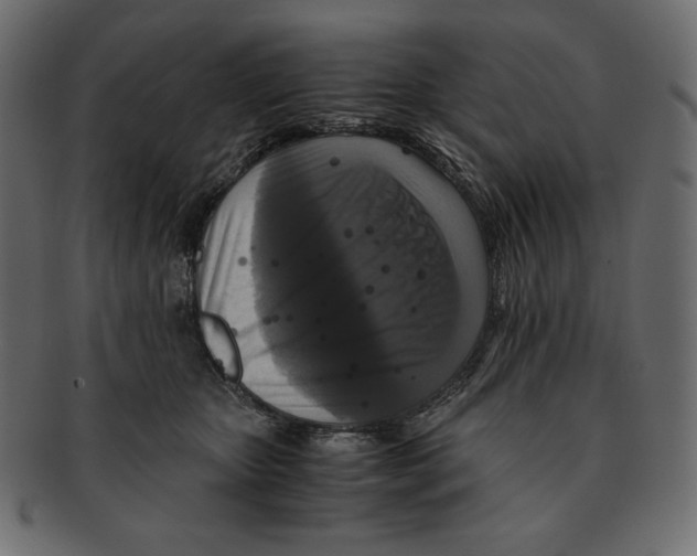 X0000091920467200710031043