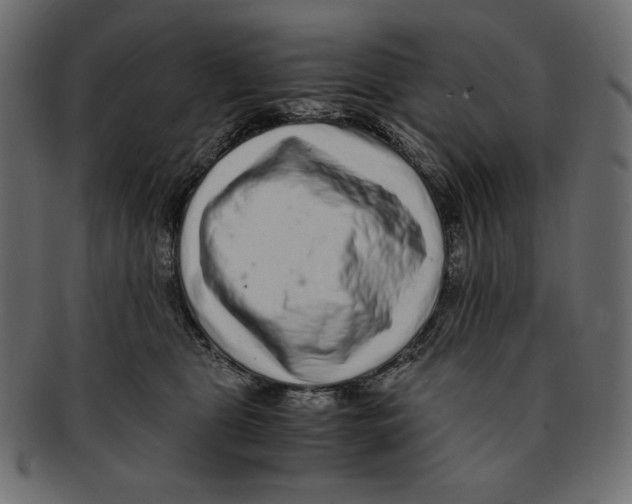X0000091920469200710031043