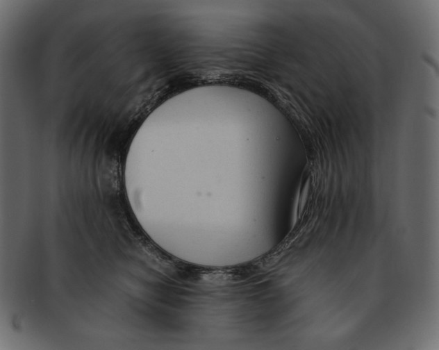 X0000091920470200710031043
