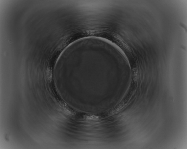 X0000091920471200710031043