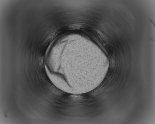 X0000091920477200710031043