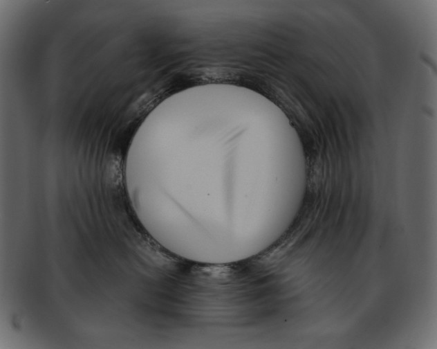 X0000091920478200710031043