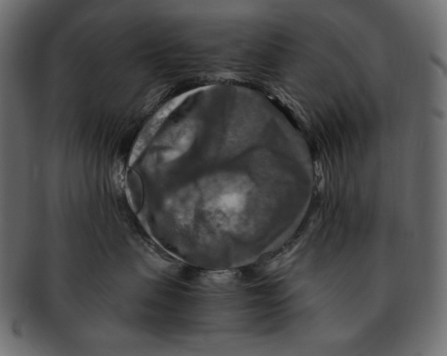 X0000091920479200710031043