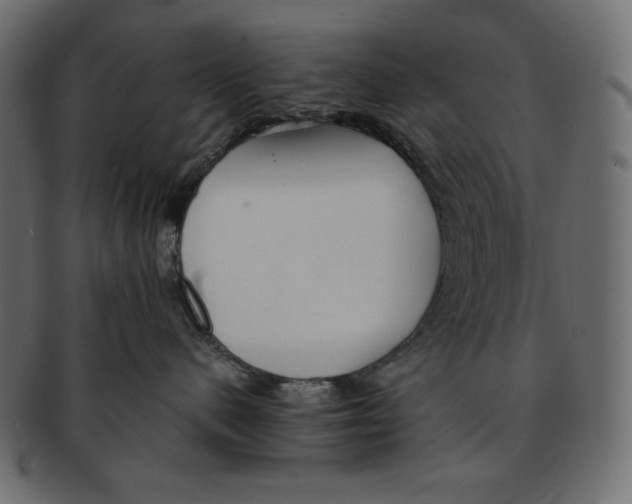 X0000091920480200710031043
