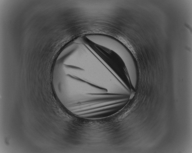 X0000091920481200710031042