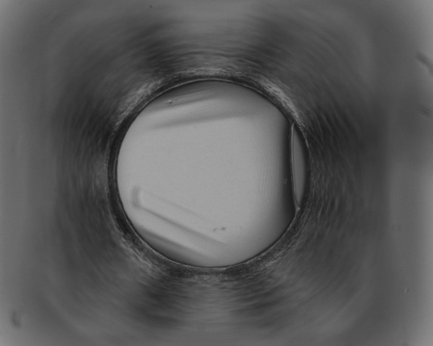 X0000091920482200710031042