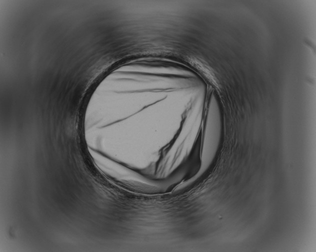 X0000091920483200710031042
