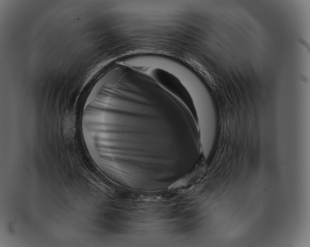 X0000091920484200710031042