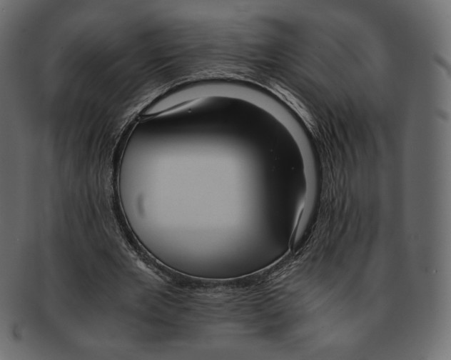 X0000091920485200710031042