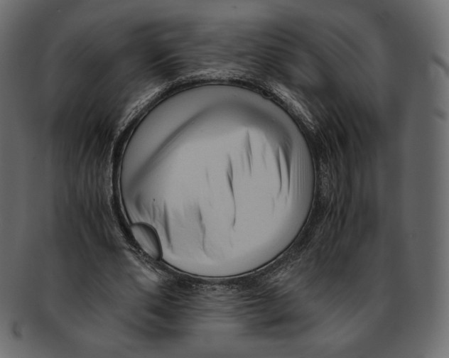 X0000091920486200710031042
