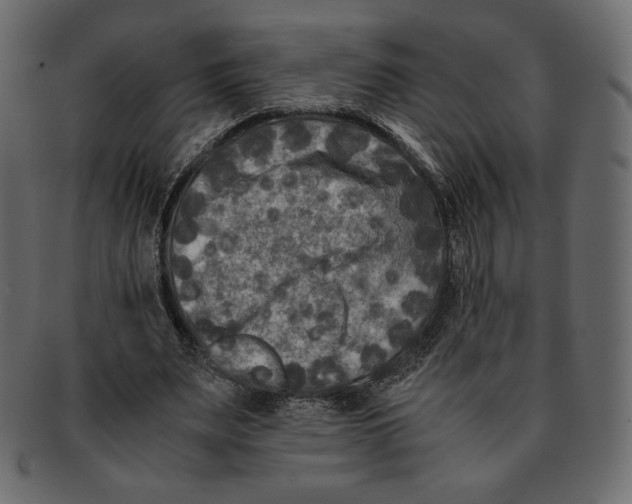 X0000091920487200710031042