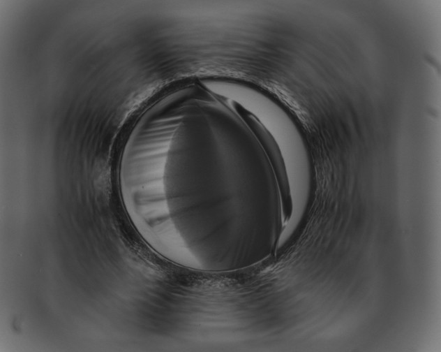 X0000091920488200710031042